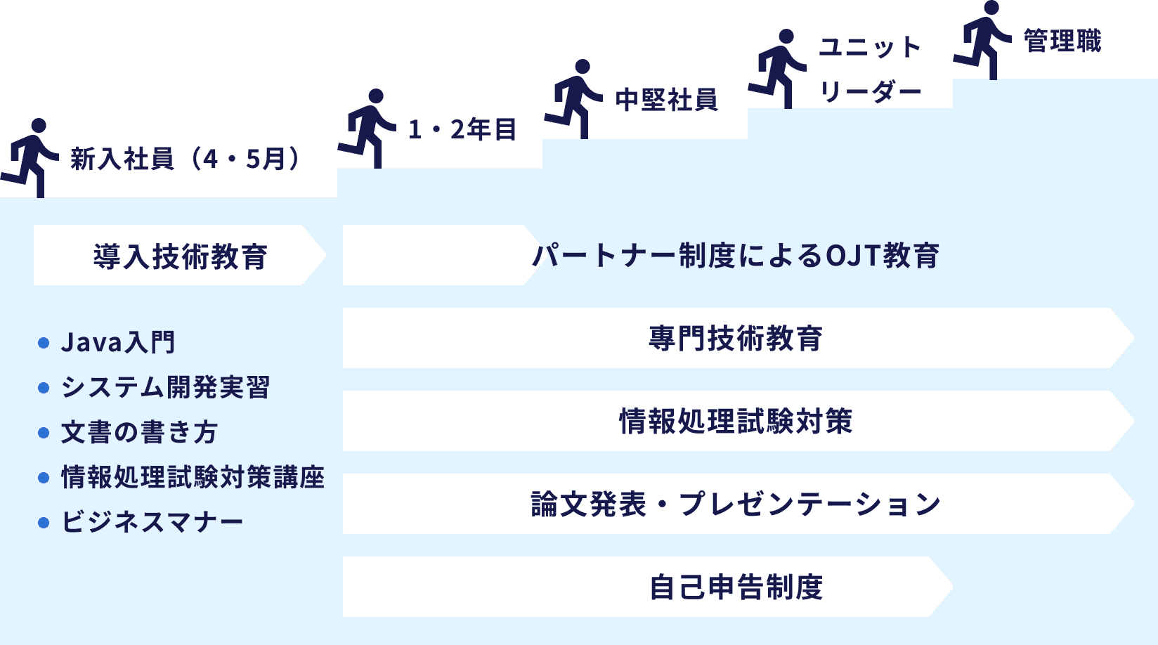 新入社員から管理職までのキャリアステップと研修制度。新入社員はJava入門やビジネスマナー研修、1・2年目以降はOJT教育・専門技術教育・情報処理試験対策・プレゼンテーションなどを実施。
